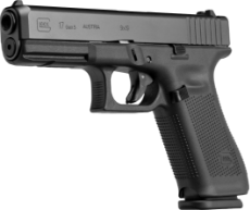 glock-21-c-10.png